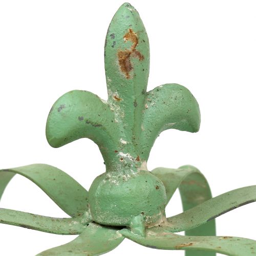 Floristik24 Korunka Zinek Ø19cm V23cm Zelená