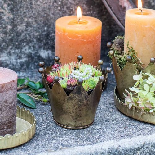 Floristik24 Korunka kovový starožitný vzhled mosazný svícen na čajovou svíčku Ø10cm V8cm