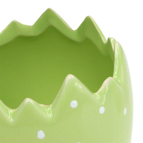 Floristik24 Květináč vaječná skořápka Ø8cm V8,5cm 8ks