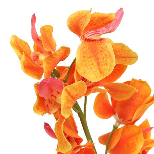 položky Umělá orchidej Mokara Orange 50cm 6ks