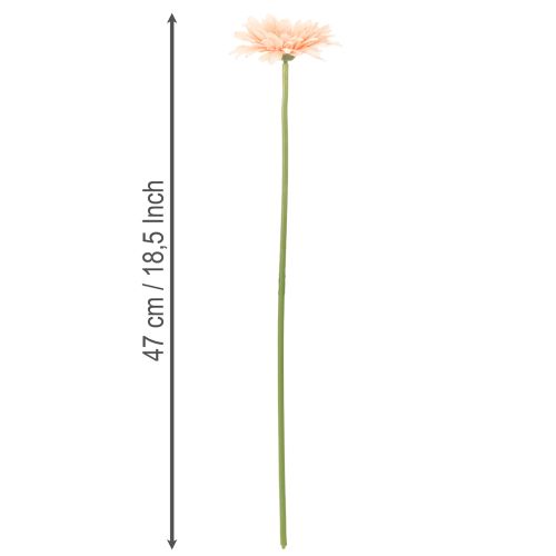 Umělé květiny gerbery meruňkové 47cm 6 ks | Floristik24.cz