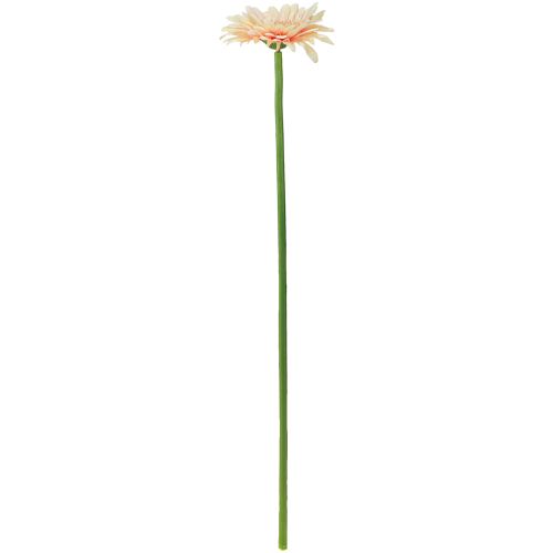 položky Umělé květiny Gerbera Meruňka 47cm