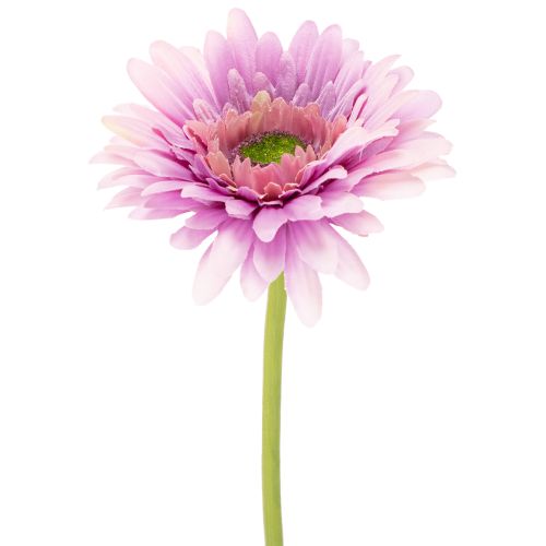 Umělé zahradní květiny gerbery, fialové, 47 cm, 6 kusů nakoupit | Floristik24.cz