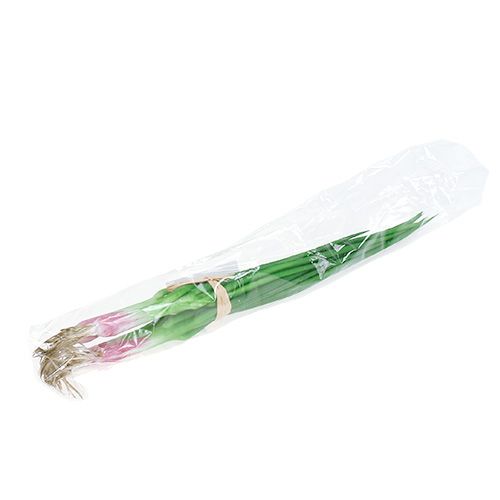 Floristik24 Umělá jarní cibulka 30cm 4ks