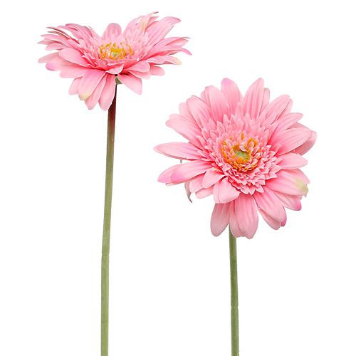 Floristik24 Umělá gerbera růžová Ø10cm L53cm 6ks