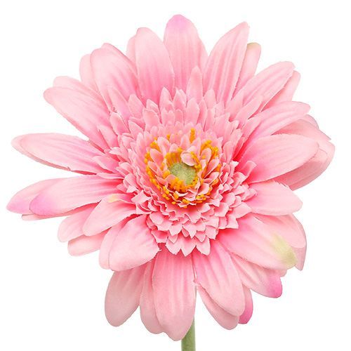 Floristik24 Umělá gerbera růžová Ø10cm L53cm 6ks