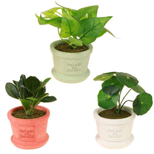 Umělé zelené rostliny mini rostlinky v květináči 15cm 3ks