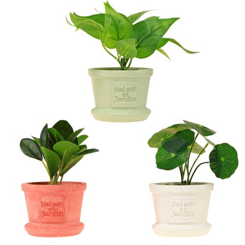 položky Umělé zelené rostliny mini rostlinky v květináči 15cm 3ks