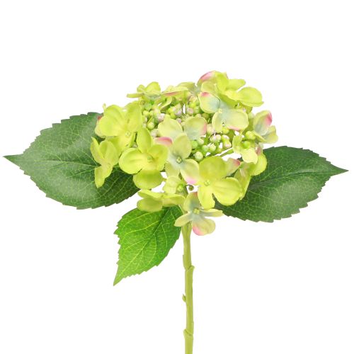 Floristik24 Umělé hortenzie zelené květy listy L43cm 2ks
