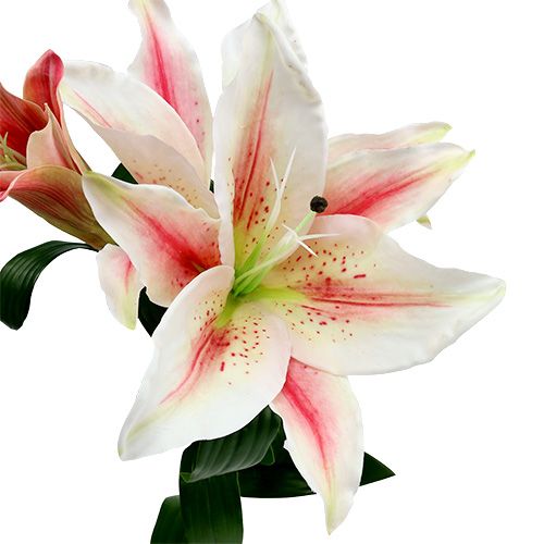 Floristik24 Umělá Lily Pink s Real Touch 100 cm
