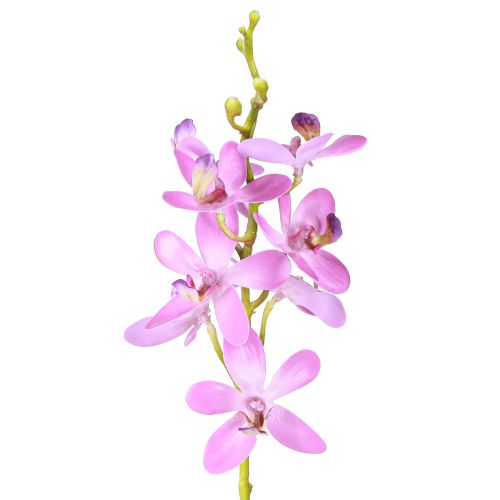 Umělé orchideje 8 fialových květů Ø3,5cm–5cm 2ks