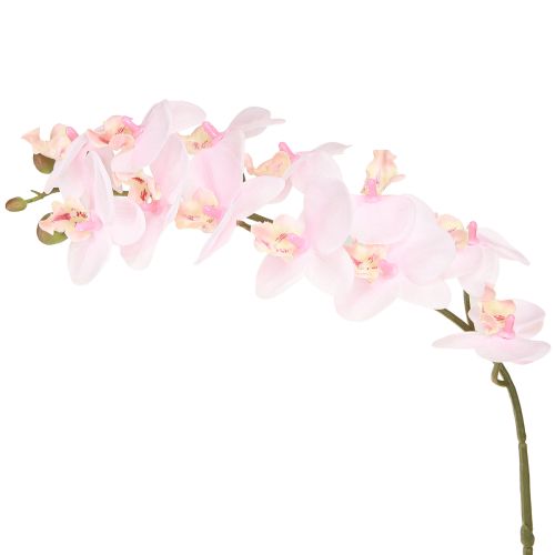 Floristik24 Umělé orchideje Světle růžové umělé květiny Real Touch 58cm 2ks