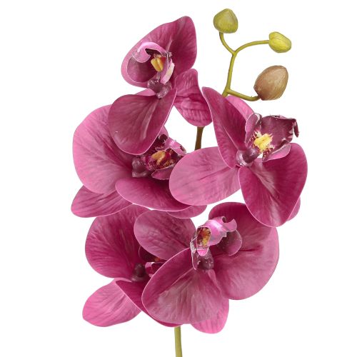 položky Umělé orchideje fialové umělé květiny jako skutečné 56cm 3 ks