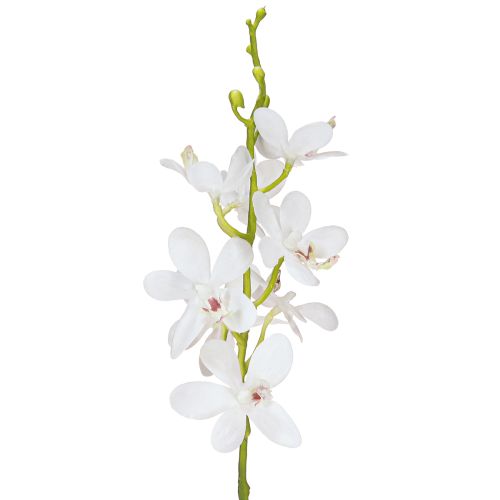 položky Umělé orchideje Bílý květ Ø3,5–5cm L38cm 2ks