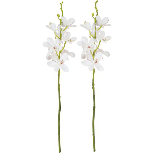 položky Umělé orchideje Bílý květ Ø3,5–5cm L38cm 2ks