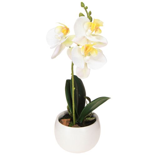 položky Umělé orchideje v květináči bílé mini orchideje Ø7cm V22cm