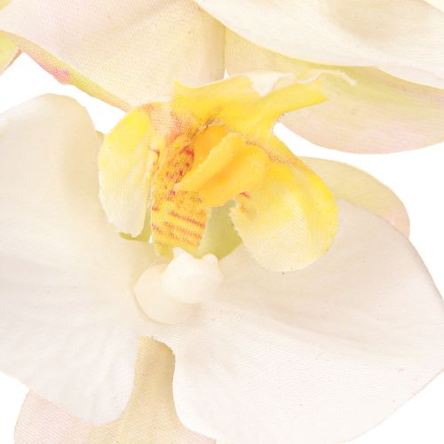 položky Umělé orchideje v květináči bílé mini orchideje Ø7cm V22cm