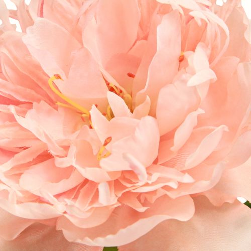 Floristik24 Umělé pivoňky růžové Paeonia lososové D60cm 2 ks