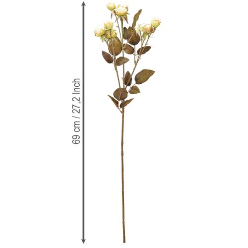 položky Umělé růže zvadlé Drylook 9 okvětních lístků krémové 69cm