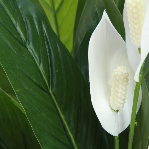 položky Umělá hrnková rostlina Jednolistá Peace Lily Zelená Bílá 55cm