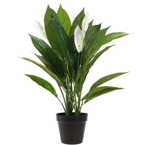položky Umělá hrnková rostlina Jednolistá Peace Lily Zelená Bílá 55cm