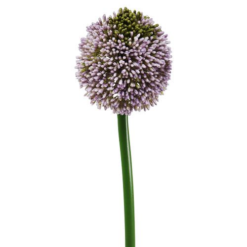 Floristik24 Umělé květiny Allium Purple Ø10cm L65cm