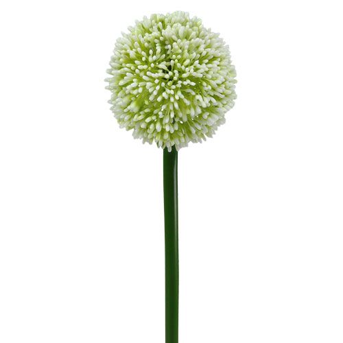 Floristik24 Umělá Allium White Ø10cm L65cm