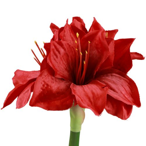 Floristik24 Umělé vánoční květiny Amaryllis Červené umělé květiny L40cm