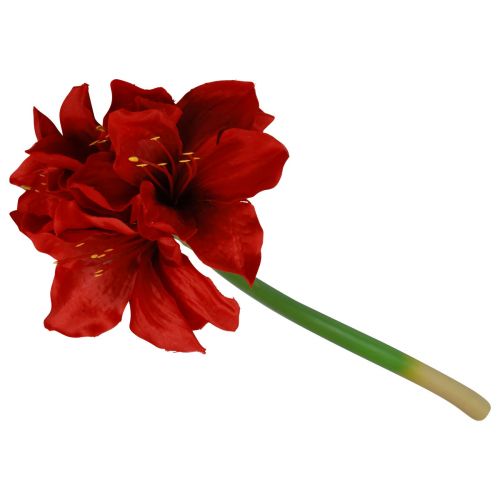 Floristik24 Umělé vánoční květiny Amaryllis Červené umělé květiny L40cm