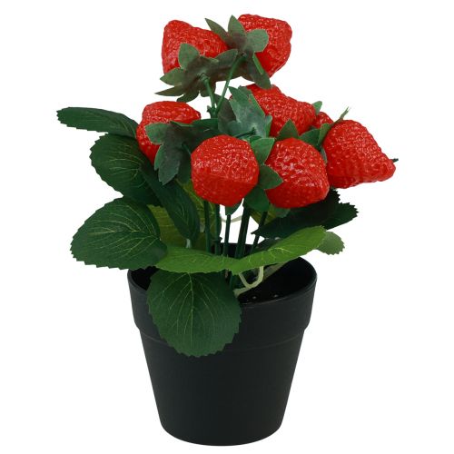 položky Umělá jahodová rostlina v květináči, umělá rostlina 19 cm