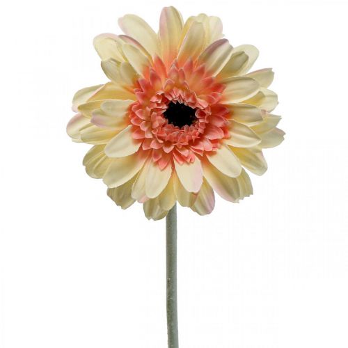Umělý květ gerbery umělý květ meruňka Ø11cm L50cm