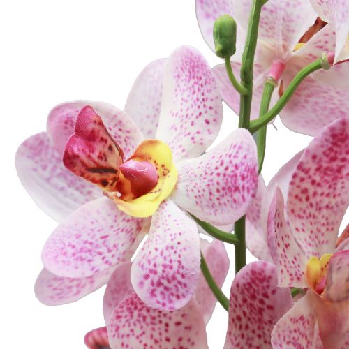 položky Umělá orchidej Růžová Bílá Umělá květina Orchidej 73cm