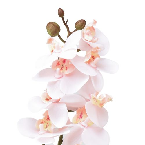 položky Umělá orchidej růžová Phalaenopsis Real Touch 58cm