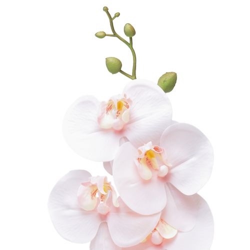 položky Umělá orchidej růžová Phalaenopsis Real Touch 83cm