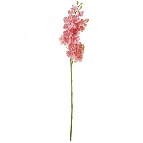 Floristik24 Umělé orchideje deco umělá květina orchidej růžová 71cm