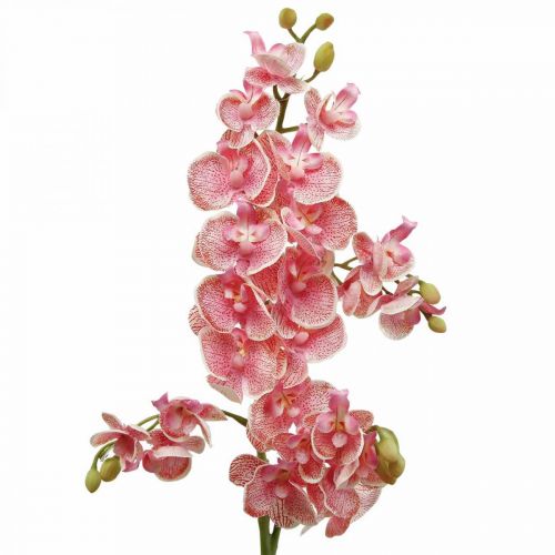 Floristik24 Umělé orchideje deco umělá květina orchidej růžová 71cm