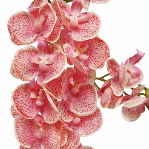 Umělé orchideje deco umělá květina orchidej růžová 71cm