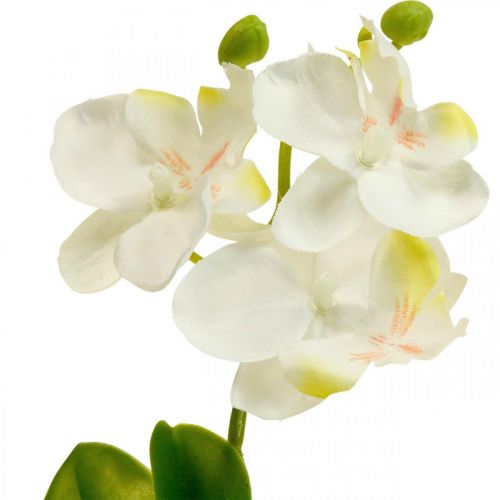 položky Umělé orchideje Umělý květ orchidej bílá 20cm