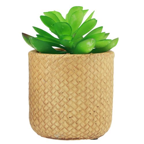 položky Umělé sukulenty v květináči Umělé rostliny Assorted 10cm 3ks