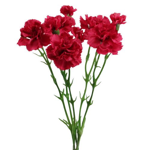 Floristik24 Umělý karafiát růžový 32cm 5ks