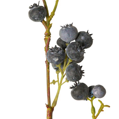 Floristik24 Umělá větev s borůvkami, borůvky 110 cm