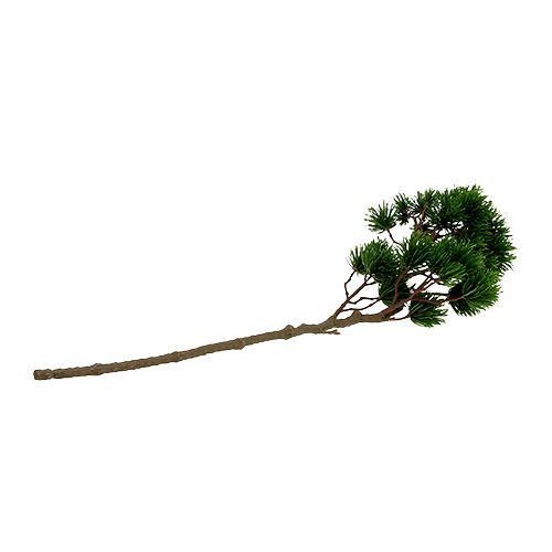 Floristik24 Větev umělá jedle, větev borovice 62cm