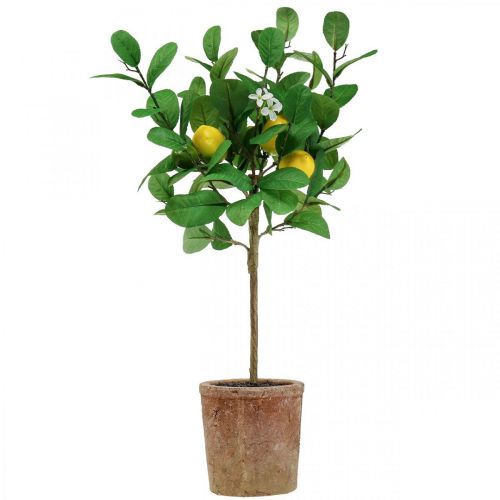 Floristik24 Umělý citroník v květináči Lemon tree 58cm