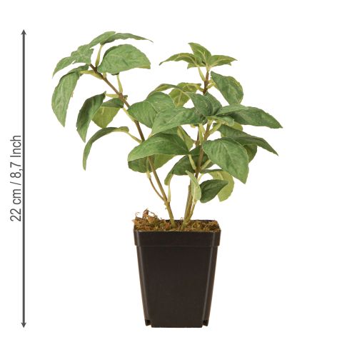 položky Umělá bazalka v květináčových bylinkách v zelené V22cm