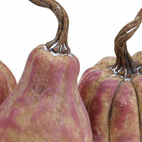 Floristik24 Mini dýňová sada oranžová, lila Ø6,5–7cm 6 kusů