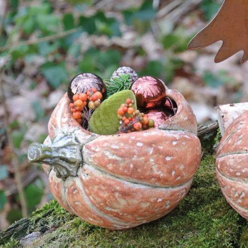 Floristik24 Dýně na výsadbu Oranžová 19×15×16cm