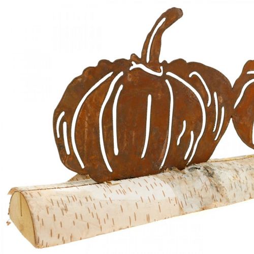 Floristik24 Kovová dekorace dýně rez a kůra na březovém dřevě 20×5cm V9cm