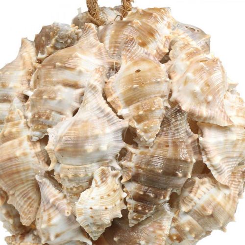 položky Deko koule ulity šneky ulity deco závěsné přírodní Ø12cm