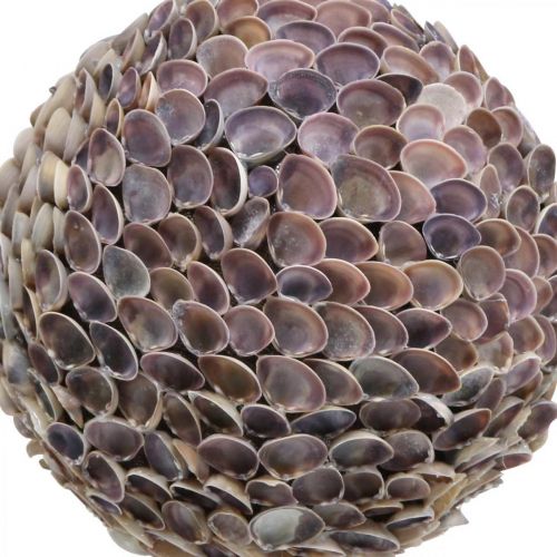 položky Deko koule skořápky skořepina koule velká Námořní dekorace Ø25cm