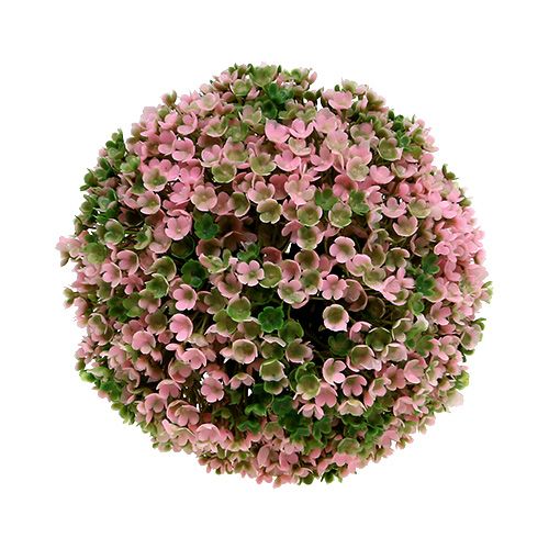 Floristik24 Ozdobná koule růžová zelená koule rostlina Ø15cm 1ks